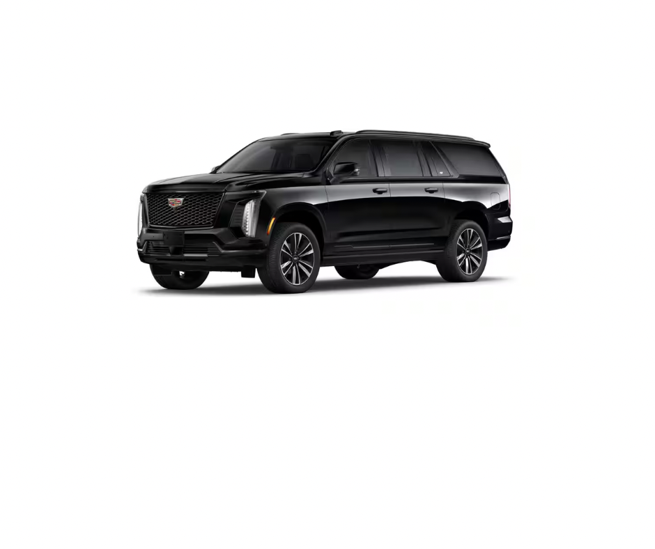 Luxury Chauffeur Service in LA
